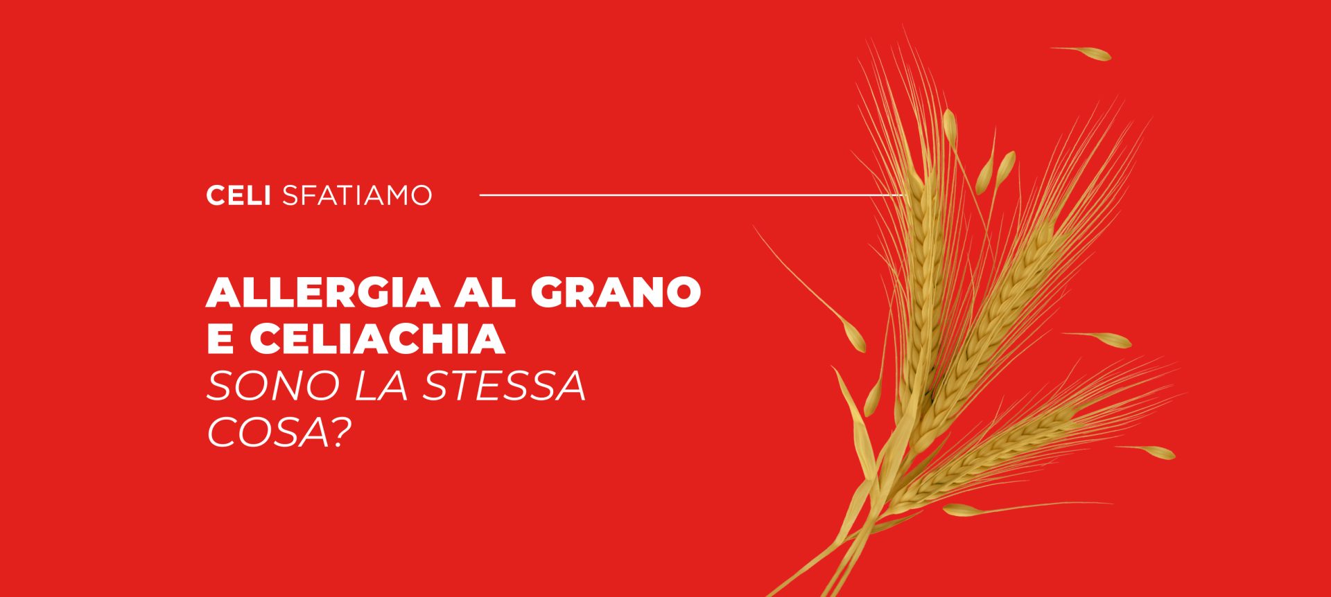 Allergia Al Grano E Celiachia Sono La Stessa Cosa?