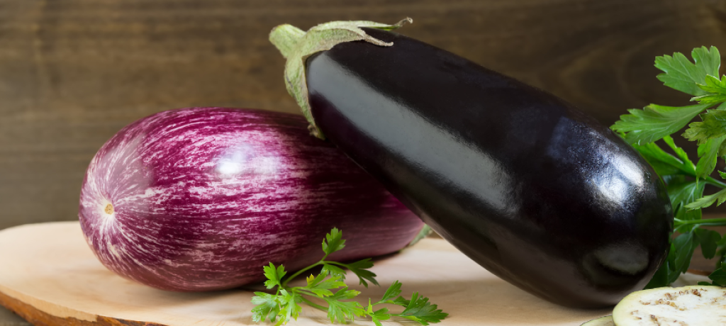 Sagra della Melanzana a Salice Melanzane per pubblicizzare la Sagra della Melanzana a Salice
