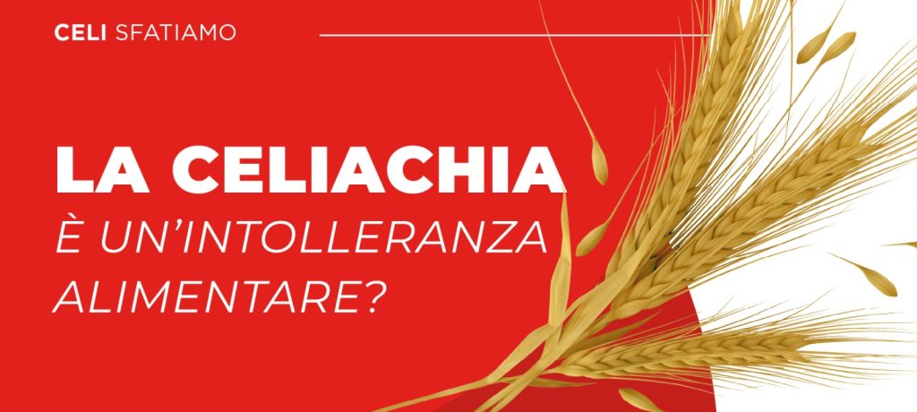 La celiachia è una intolleranza alimentare?