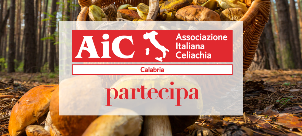 aic-calabria-sagra-dei-funghi-gambaria-04102022