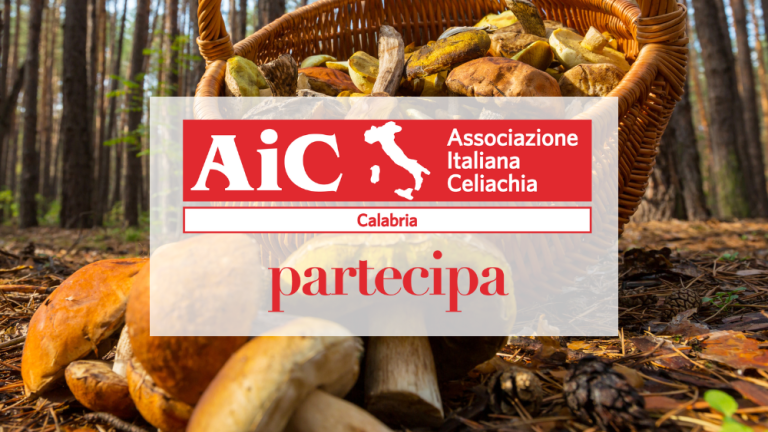 aic-calabria-sagra-dei-funghi-gambaria-04102022