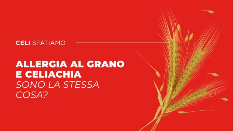 Celiachia e allergia al grano
