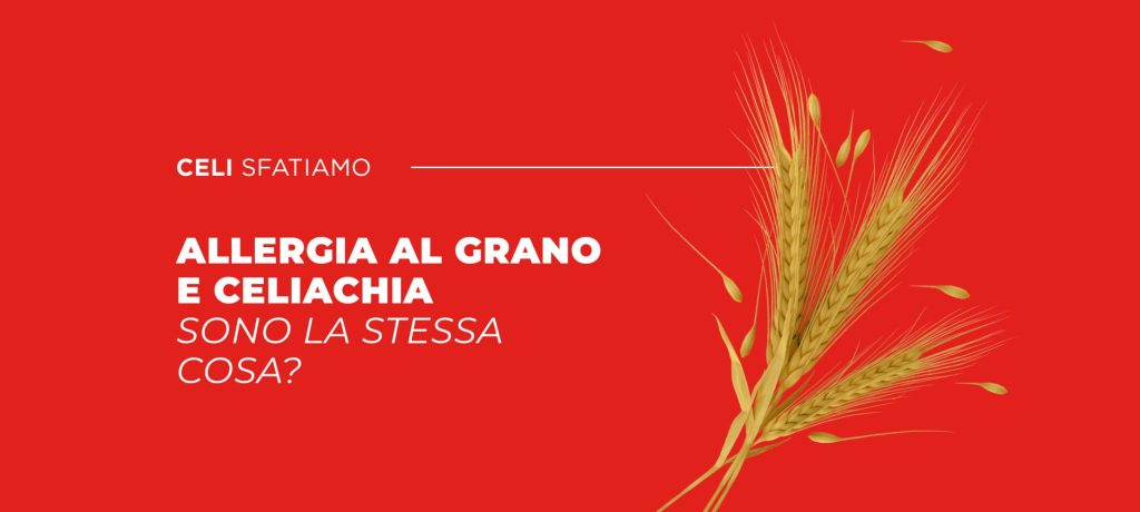 Celiachia e allergia al grano